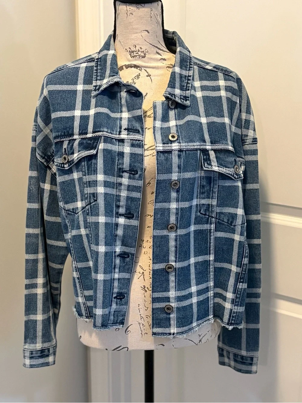 Lior Paris Plaid Denim Jacket Large Frayed Hem Button Front Shacket Blue